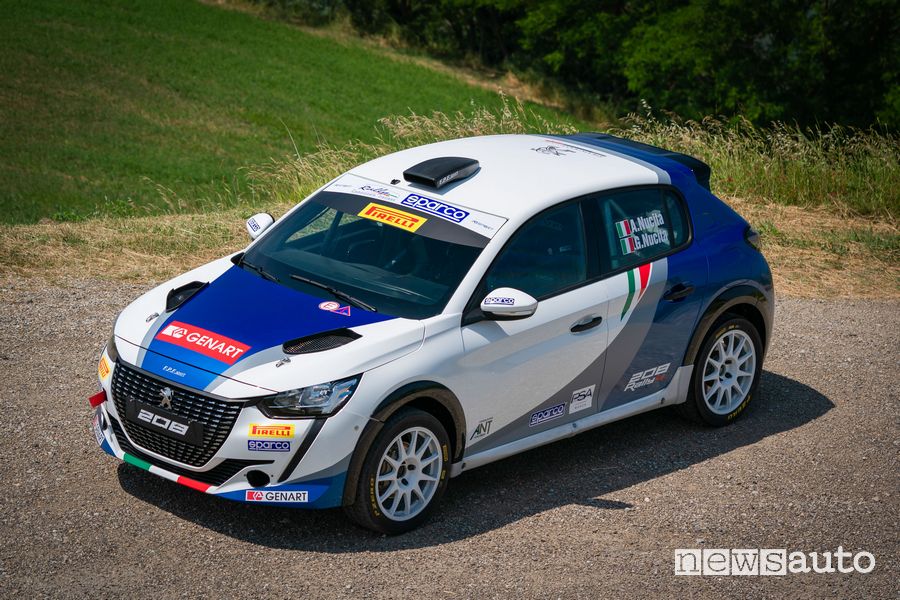 Vista di profilo Peugeot 208 Rally4