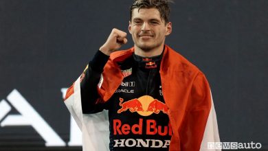 Max Verstappen, il pilota