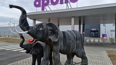 Elefantino di pneumatici all'esterno della fabbrica Apollo Tyres in Ungheria
