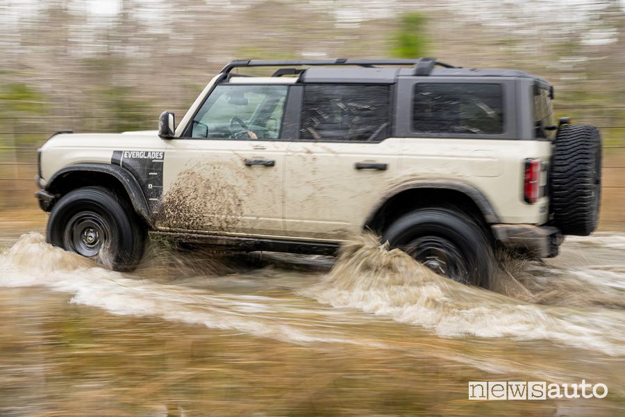 Guado Ford Bronco Everglades