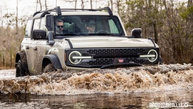 Guado Ford Bronco Everglades