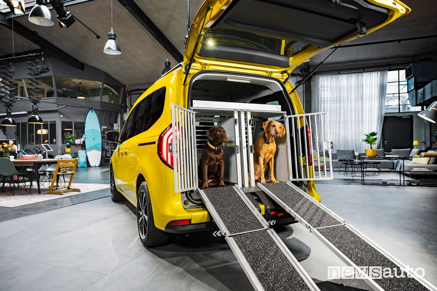 Box per trasporto cani abitacolo Mercedes-Benz Classe T