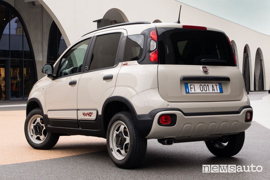 Panda 4x40° posteriore 3/4