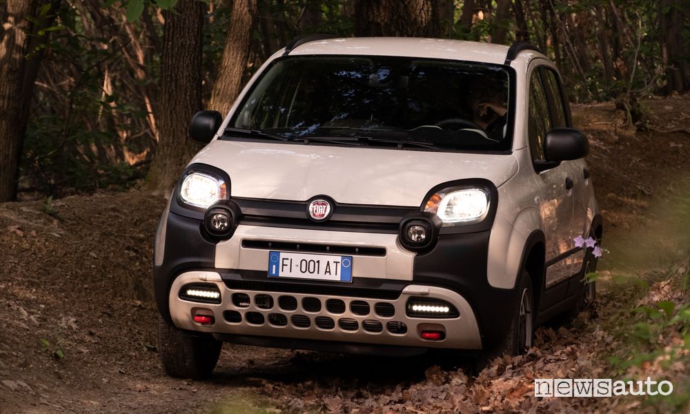Panda 4x40° sullo sterrato