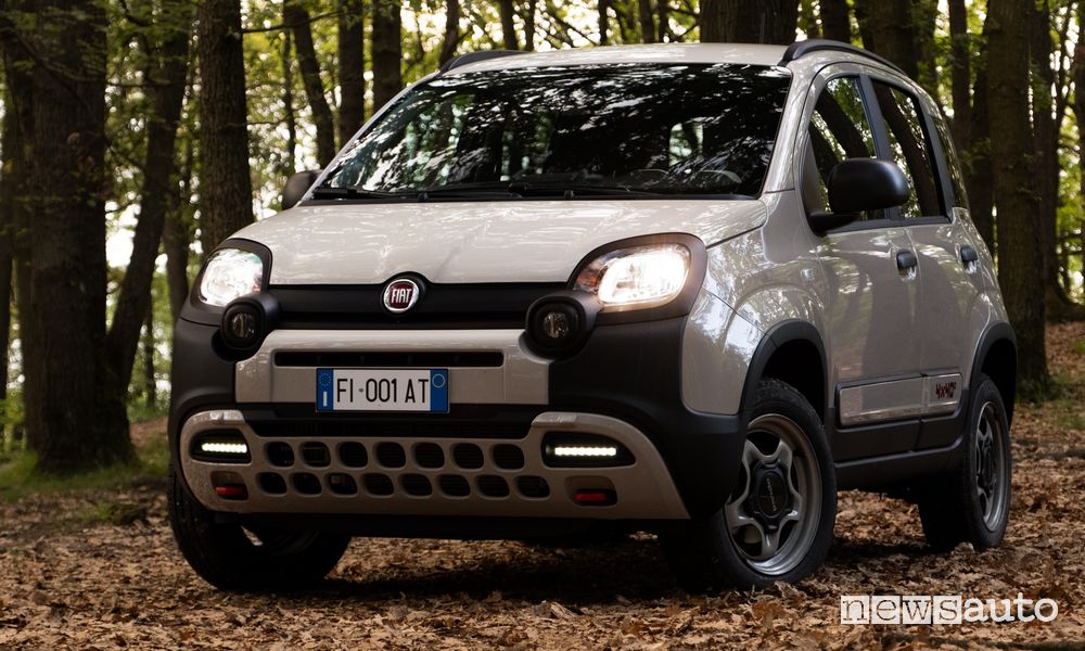 Panda 4x40° anteriore 3/4
