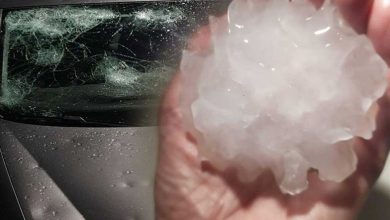 Disastro grandine, danni, cosa copra l'assicurazione