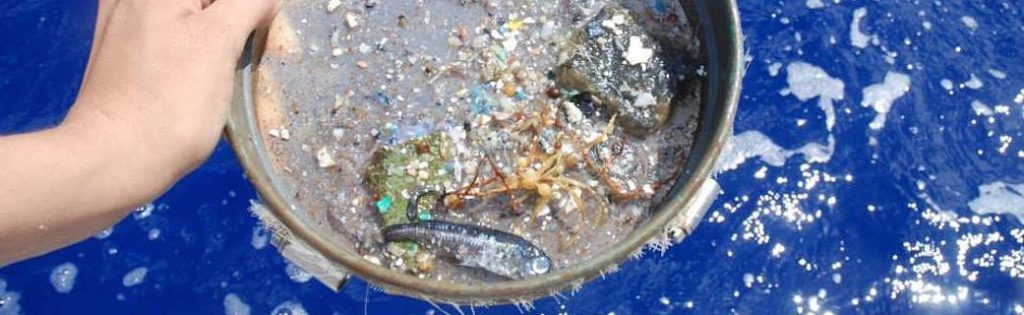 le microplastiche in mare