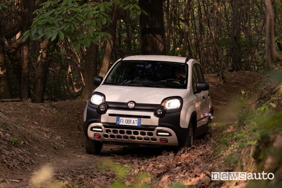 Fiat Panda 4x4 serie speciale 4x40