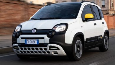 Fiat Pandina serie speciale su strada
