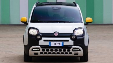 Fiat Pandina