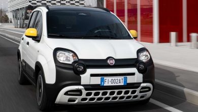 Fiat Pandina serie speciale su strada