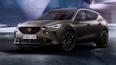 Cupra Formentor VZ5 Century Bronze