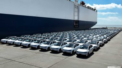 Auto cinesi Leapmotor importate e distribuite in Italia dalla rete Stellantis, i modelli