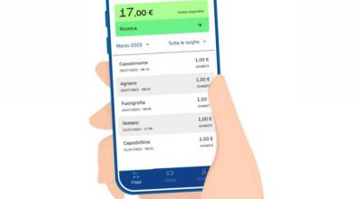 TargaGo, cos'è e come funziona