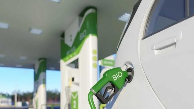 Dazi al biodiesel della Cina