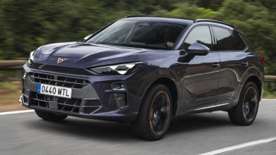 Cupra Terramar su strada