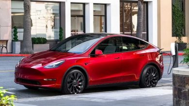 Tesla Model Y, interni 7 posti, prezzo