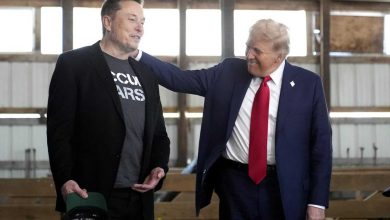 Elon Musk incarico con Trump