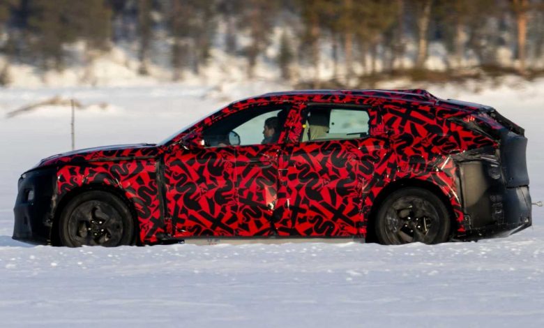 Muletto dell'Alfa Romeo Stelvio sulla piattaforma STLA Large