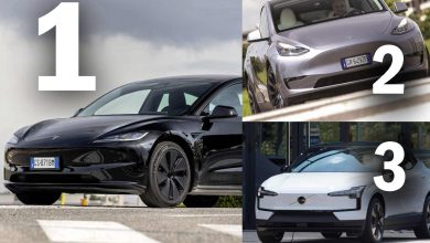Auto elettriche più vendute, anno 2024