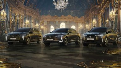 DS Édition France, serie speciale, prezzi