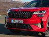 Skoda Kodiaq RS griglia anteriore