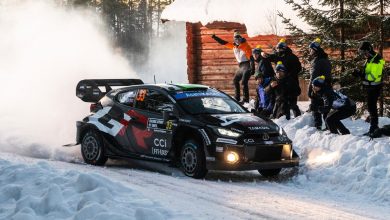 Rally Svezia 2025