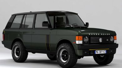 Range Rover Classic Vinile anteriore 3/4