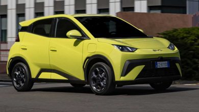 BYD Dolphin Surf test su strada a Roma
