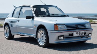 Peugeot 205 Turbo 16 Dimma