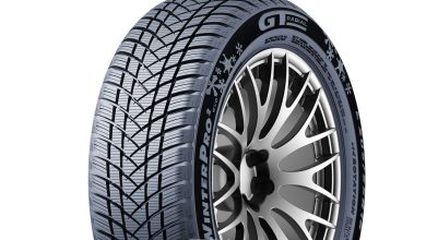 GT Radial WinterPro2 evo