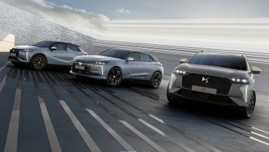 Gamma DS serie speciale Performance Line