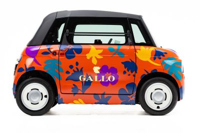 Fiat Topolino Gallo livrea Fiori astratti