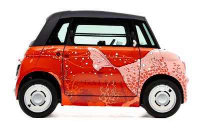 Fiat Topolino Gallo livrea Gallo Pesce palla