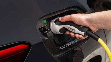 Cupra Born VZ cavo di ricarica in AC