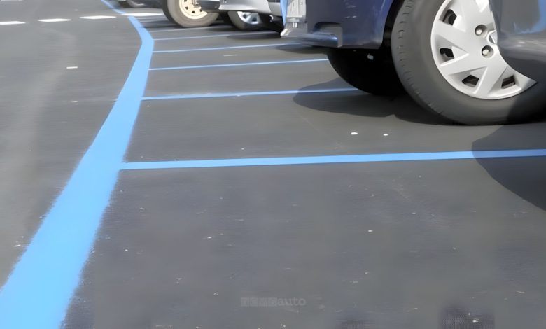 Parcheggi strisce blu a Roma