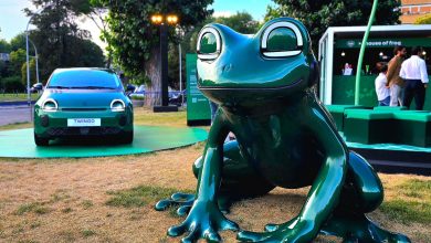 Renault Twingo House Of Frog Roma Auditorium parco della musica