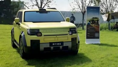 Freelander 8 First Edition