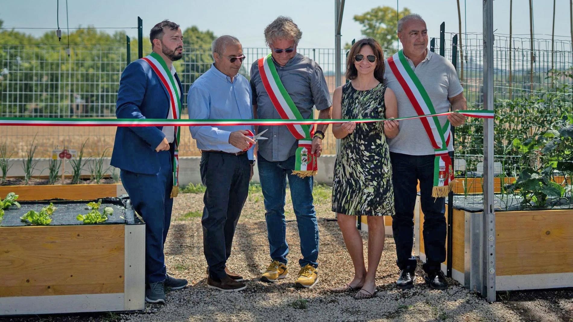 BioOrto ElettroAttivo: primo impianto tra agrivoltaico e agricoltura
