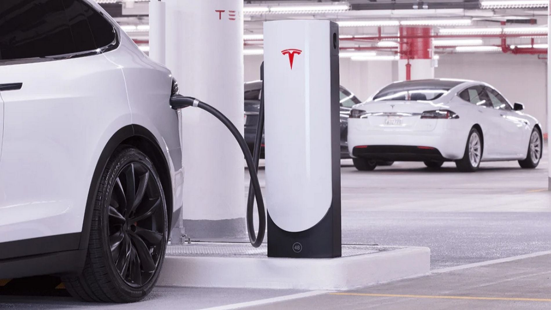 Tesla Supercharger V4: ricarica fino a 500 kW e 800 Volt