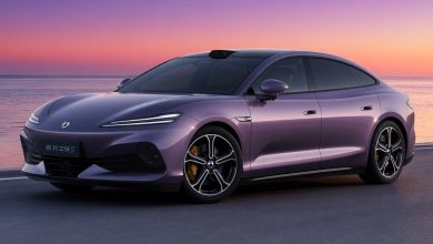 Denza Z9S