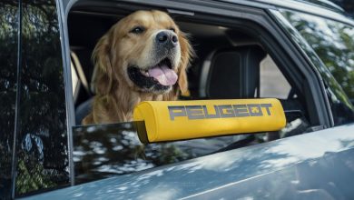 Poggiatesta per il finestrino Peugeot E-5008 Dog Edition Concept