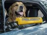 Poggiatesta per il finestrino Peugeot E-5008 Dog Edition Concept