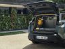 Spazio di carico nel bagaglio della E-5008 Dog Edition Concept