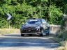 Pacchagnella/Zanini Peugeot 208 Rally4