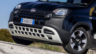 Fiat Pandina