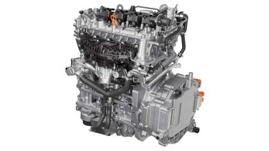 Horse D20 Methanol