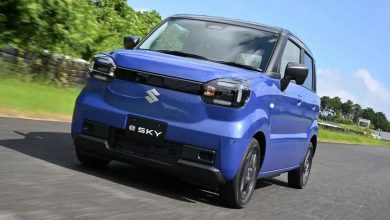 Suzuki e Sky su strada
