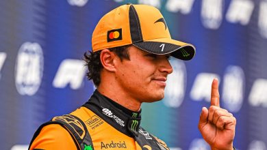 Gara F1 GP Olanda Lando Norris vincitore