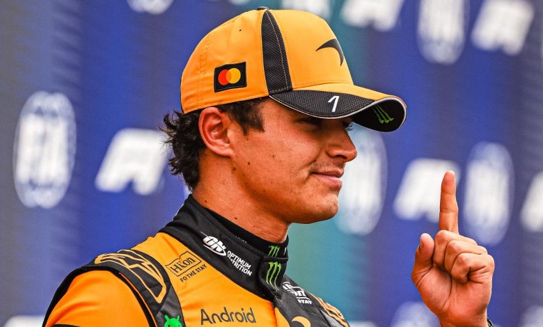Gara F1 GP Olanda Lando Norris vincitore